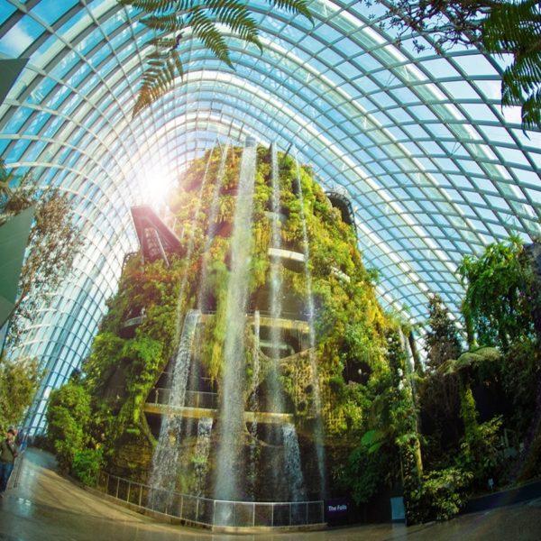 garden by the bay